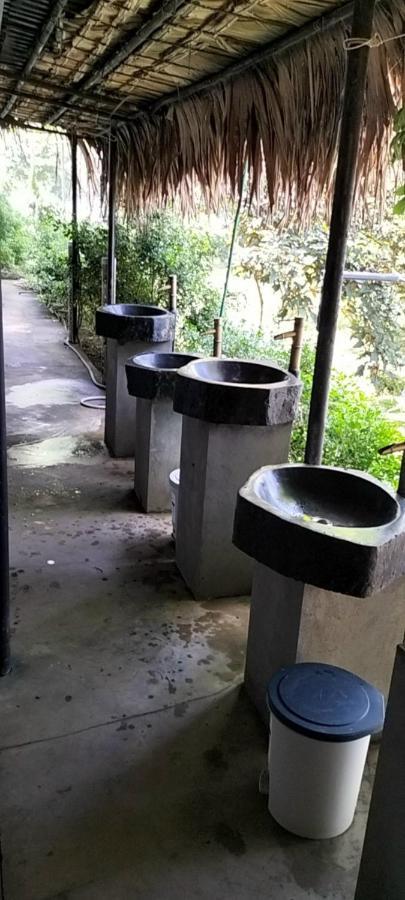 Hòa Bình Ho Tam Homestay المظهر الخارجي الصورة