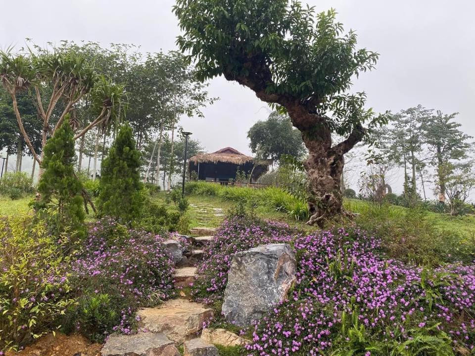 Hòa Bình Ho Tam Homestay المظهر الخارجي الصورة